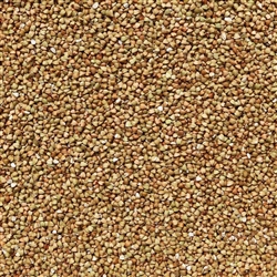 Buckwheat Hulled Groats ORGANIC