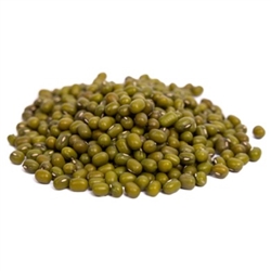 Mung Bean Sprouting Seed ORGANIC - 5 lbs