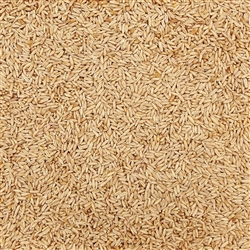 Oat Groats ORGANIC