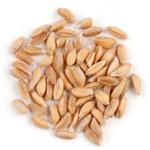 Emmer (Farro) ORGANIC