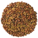 Sprouting Seed Mix - ORGANIC - 2 lbs