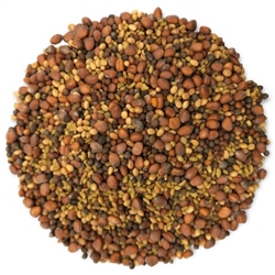 Sprouting Seed Mix - ORGANIC - 2 lbs