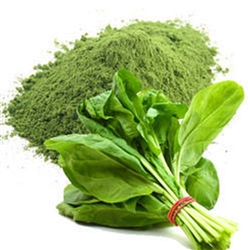 Spinach Powder: FREEZE-DRIED BULK - ORGANIC